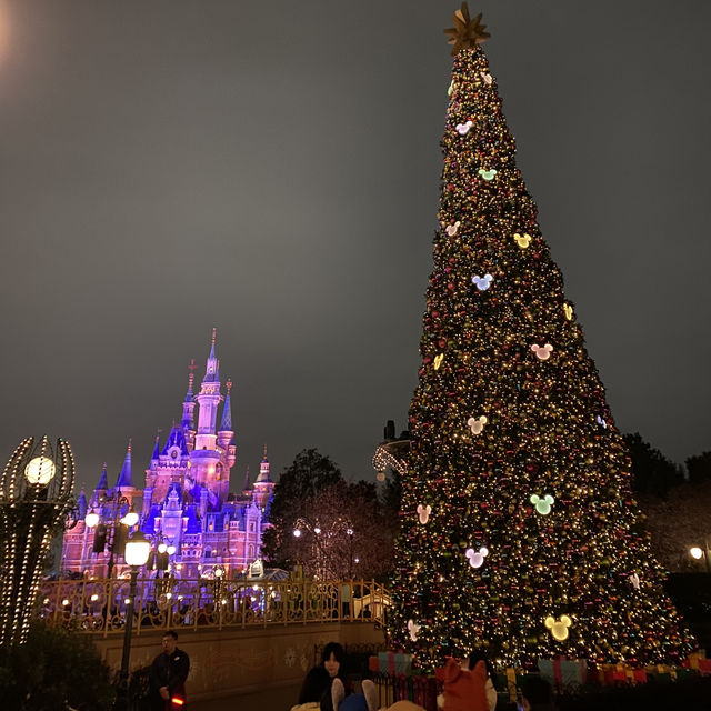 上海ディズニークリスマス🎄(上海迪士尼圣诞节 Shanghai Disney Christmas)