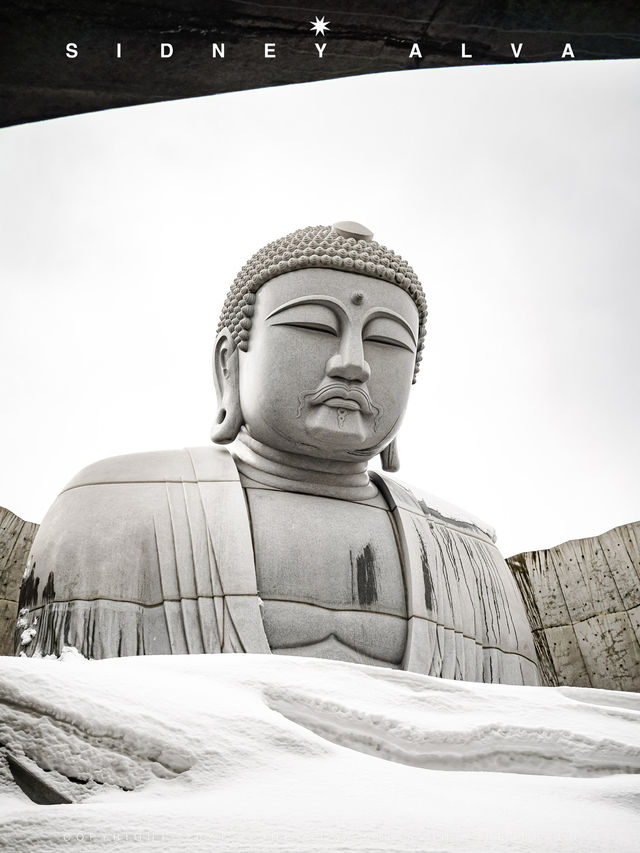 🗿頭大佛|札幌不可錯過的靜謐禪境