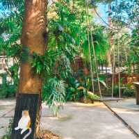 คาเฟ่ สไตล์สวนหลังบ้าน @ ชัยนาท