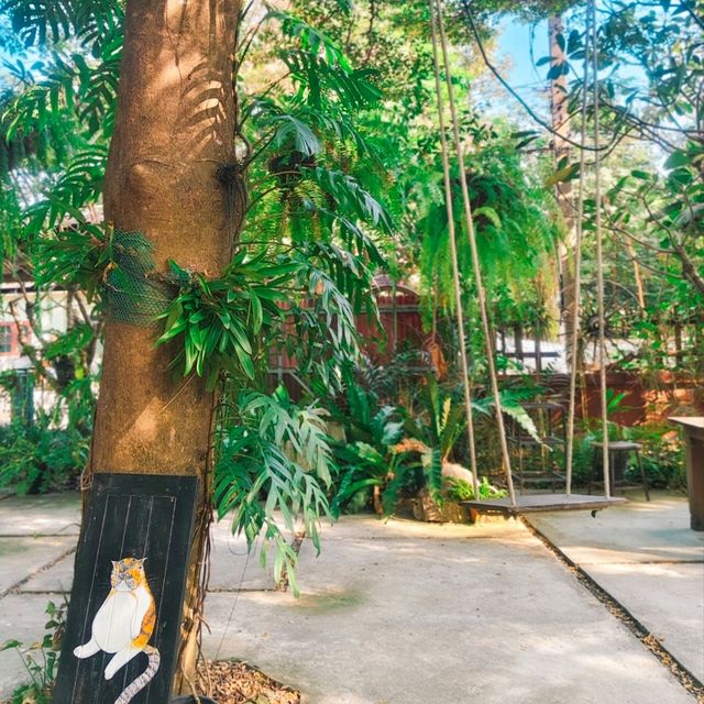 คาเฟ่ สไตล์สวนหลังบ้าน @ ชัยนาท