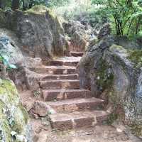 A Journey Through Nature and History: Dian Lake