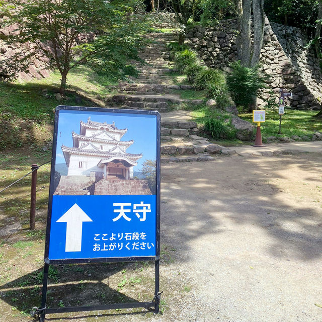 【四国】現存天守のひとつ宇和島城に行ってきた🏯