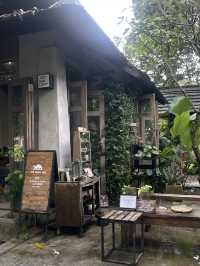 Art Farm Studio 🐢