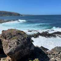 Kangaroo Island (South Australia)🇦🇺 