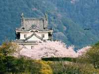 愛媛🇯🇵宇和島城