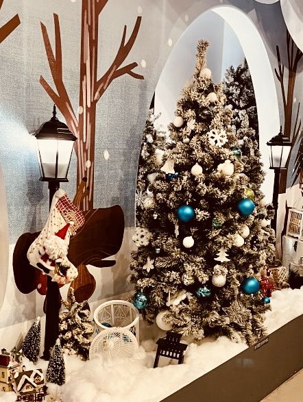 Perfect for Capturing Holiday Magic 📸