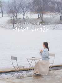 (실시간) 여기가 바로 K삿포로, 합포로 카페 피어라입니다❄️🩵
