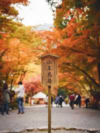【日吉大社】滋賀の紅葉おすすめスポット