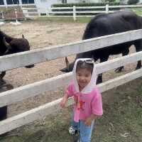 พาลูกเที่ยวใกล้กรุงเทพ