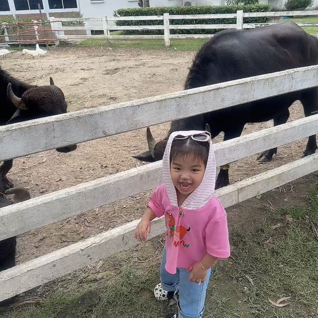 พาลูกเที่ยวใกล้กรุงเทพ