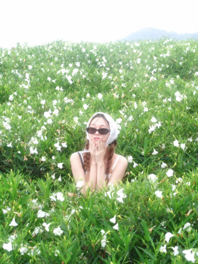 Ying Yong Garden - Chiang Mai 
