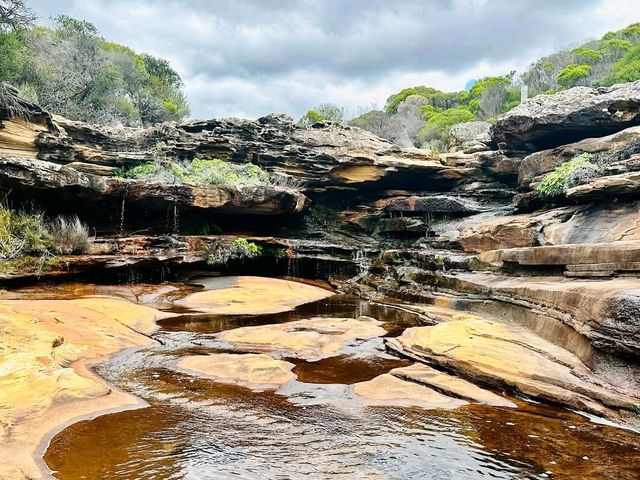 Royal National Park, New South Wales