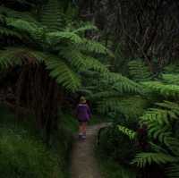 The Kerikeri area, located just inland from the Bay of Islands