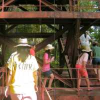 สะพานเรือนยอดไม้ จ.ตรัง