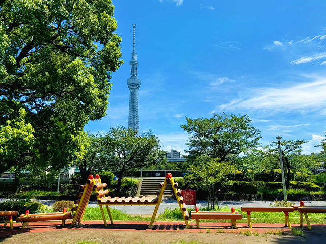 隅田公園：東京行程中的悠然綠洲與水岸之趣