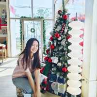 Rada cafe คาเฟ่ชิคๆ บางมูลนาก จ.พิจิตร