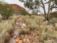 Valley of the Winds: A Kata Tjuta Adventure