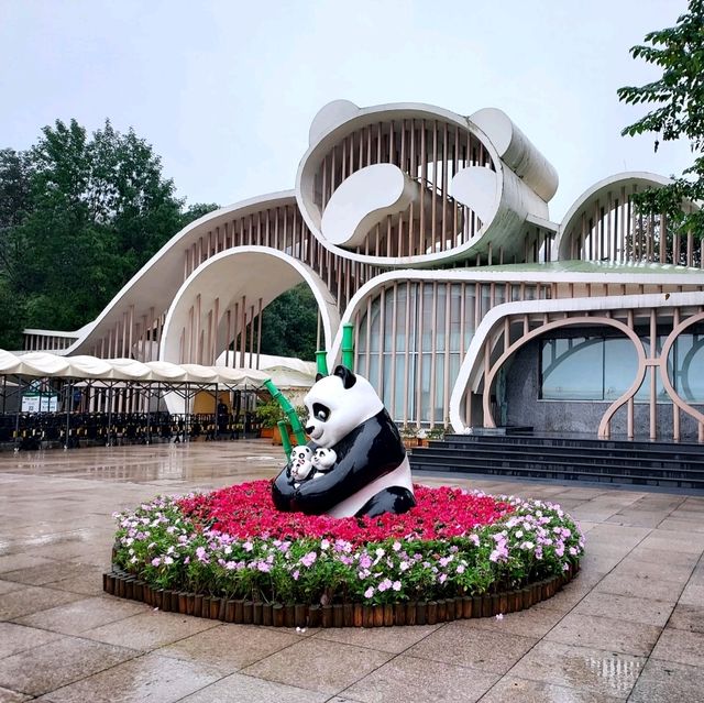 One Day @ Dujiangyan