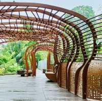 Wildlife Wonders at The Mandai Boardwalk!