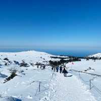 Hallasan: A Majestic Hiking Adventure 🇰🇷