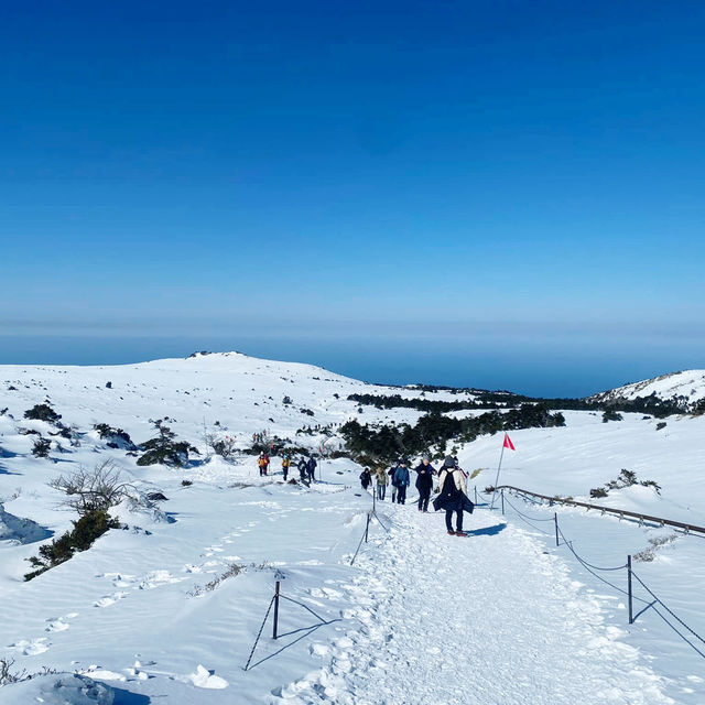 Hallasan: A Majestic Hiking Adventure 🇰🇷