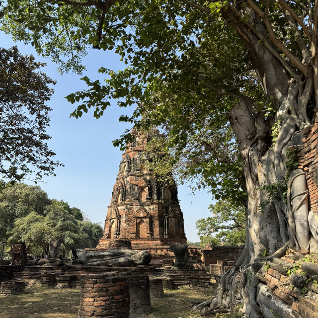 วัดมหาธาตุ จ.พระนครศรีอยุธยา