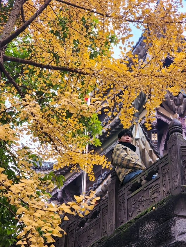 ✨Baolun temple Chongqing