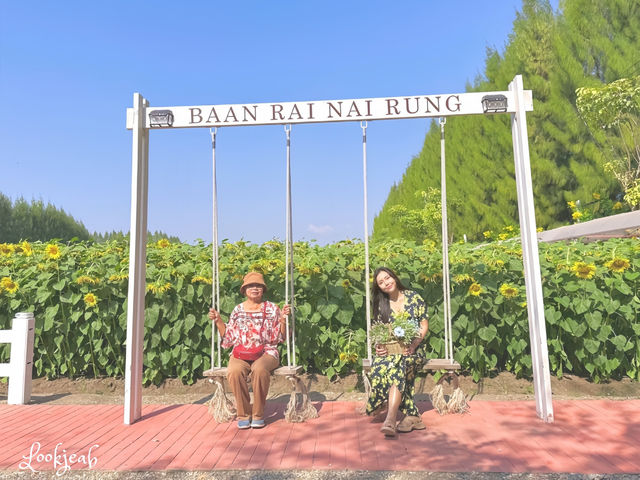 ถ่ายรูปเล่นกับทานตะวัน ถึงแม้จะคอตกแล้วแต่ก็สวย