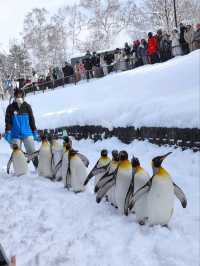 Hokkaido 2025 