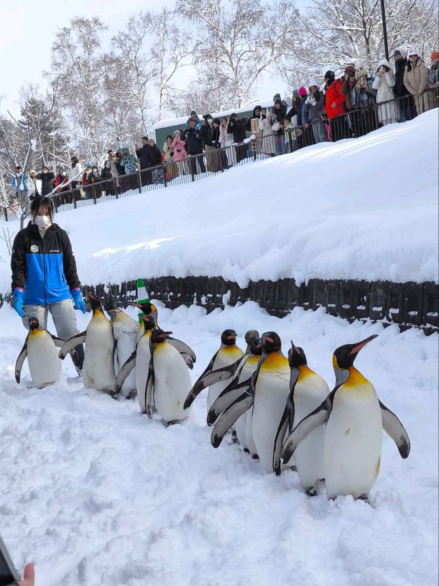 Hokkaido 2025 