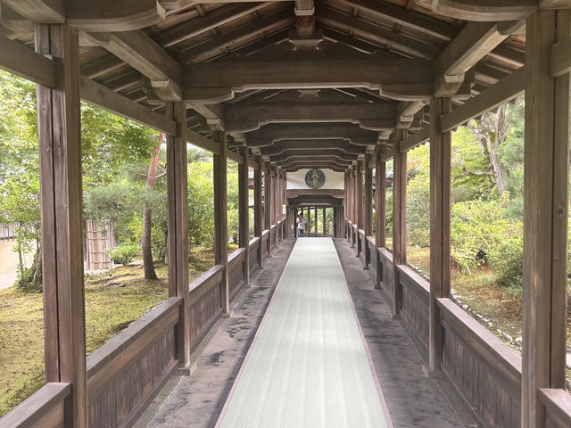 天龍寺｜進門可見👀趣味達摩畫像的禪寺