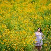 ฮอกไกโด Flower Park เขาใหญ่