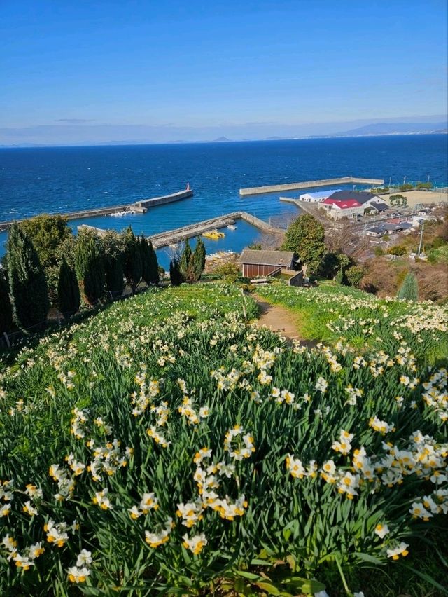 【１度は見たい格別な景色】