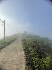Beautiful landscape in Jeli Kelantan 