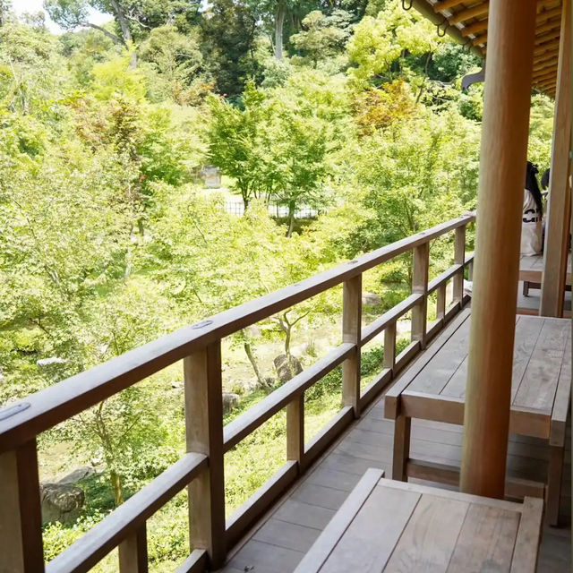 【日本・京都🇯🇵】稲荷茶寮