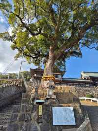 Suwa Shrine Nagasaki