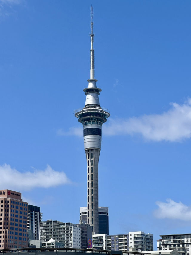 Great trip to Auckland 