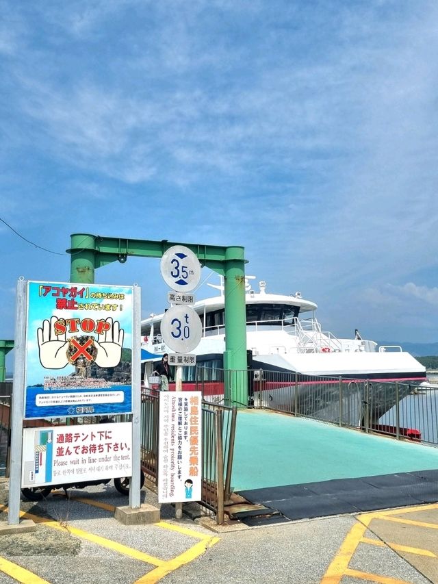 신구항에서 시작하는 아이노시마 여행⛴️🐱