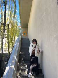 Blue Bottle Coffee Aoyama ☕️ คาเฟ่สุดชิลโตเกียว