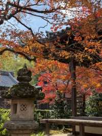 京都｜盡顯禪意之美-常寂光寺 風水布局與神佛傳說