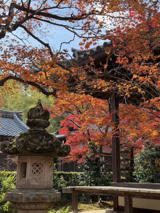 京都｜盡顯禪意之美-常寂光寺 風水布局與神佛傳說