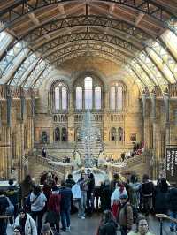 🦖 A Journey Through Time at the Natural History Museum, London 🌍