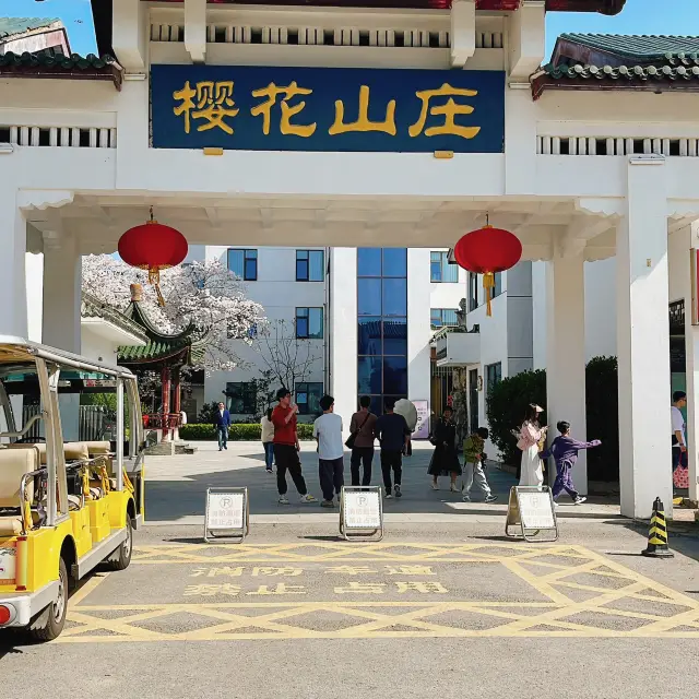 Must Stay at Wuxi Sakura Villa for Cherry Blossom Viewing at Yuantouzhu