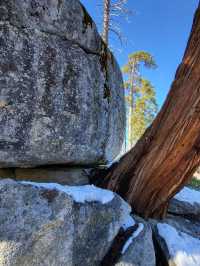 Kings Canyon is more than just a scenic destination