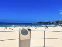 Sun, Surf, and Serenity: A Perfect Day at Bondi Beach