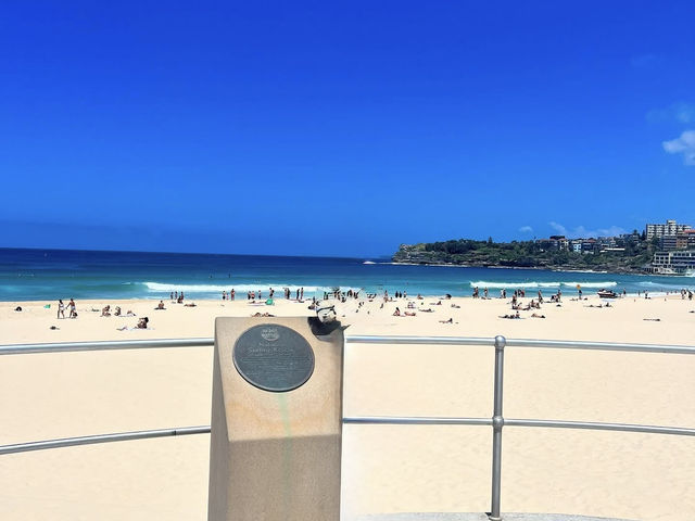 Sun, Surf, and Serenity: A Perfect Day at Bondi Beach