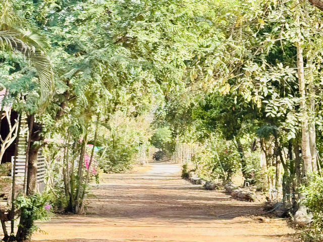 （Khonkaen，Nong Ruea）3星级民宿真正的乡村又不简陋600泰铢一晚非常便宜