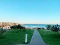 Bondi Beach: Sunset, Palm Trees & Coastal Charm