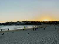 Bondi Beach: Sunset, Palm Trees & Coastal Charm