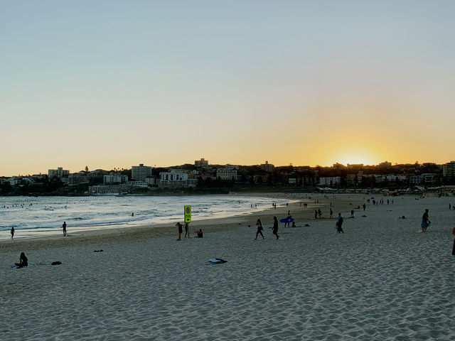 Bondi Beach: Sunset, Palm Trees & Coastal Charm